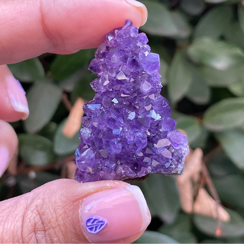 Amethyst Cluster - Picture 4 of 6